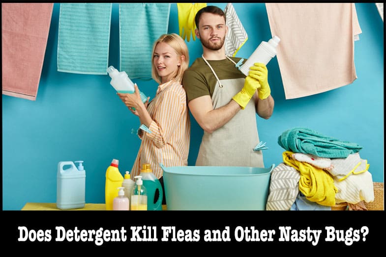 does detergent kill fleas